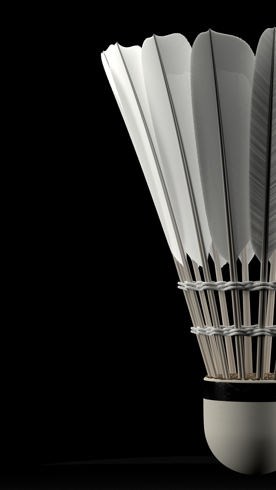 主场的强势 主场的强势