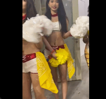 胜率曲线可